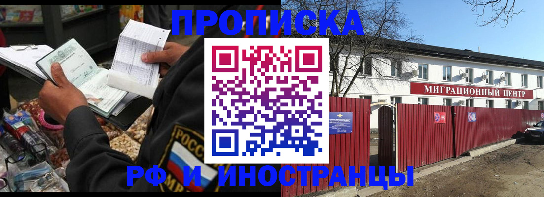 прописка поиск в Коле